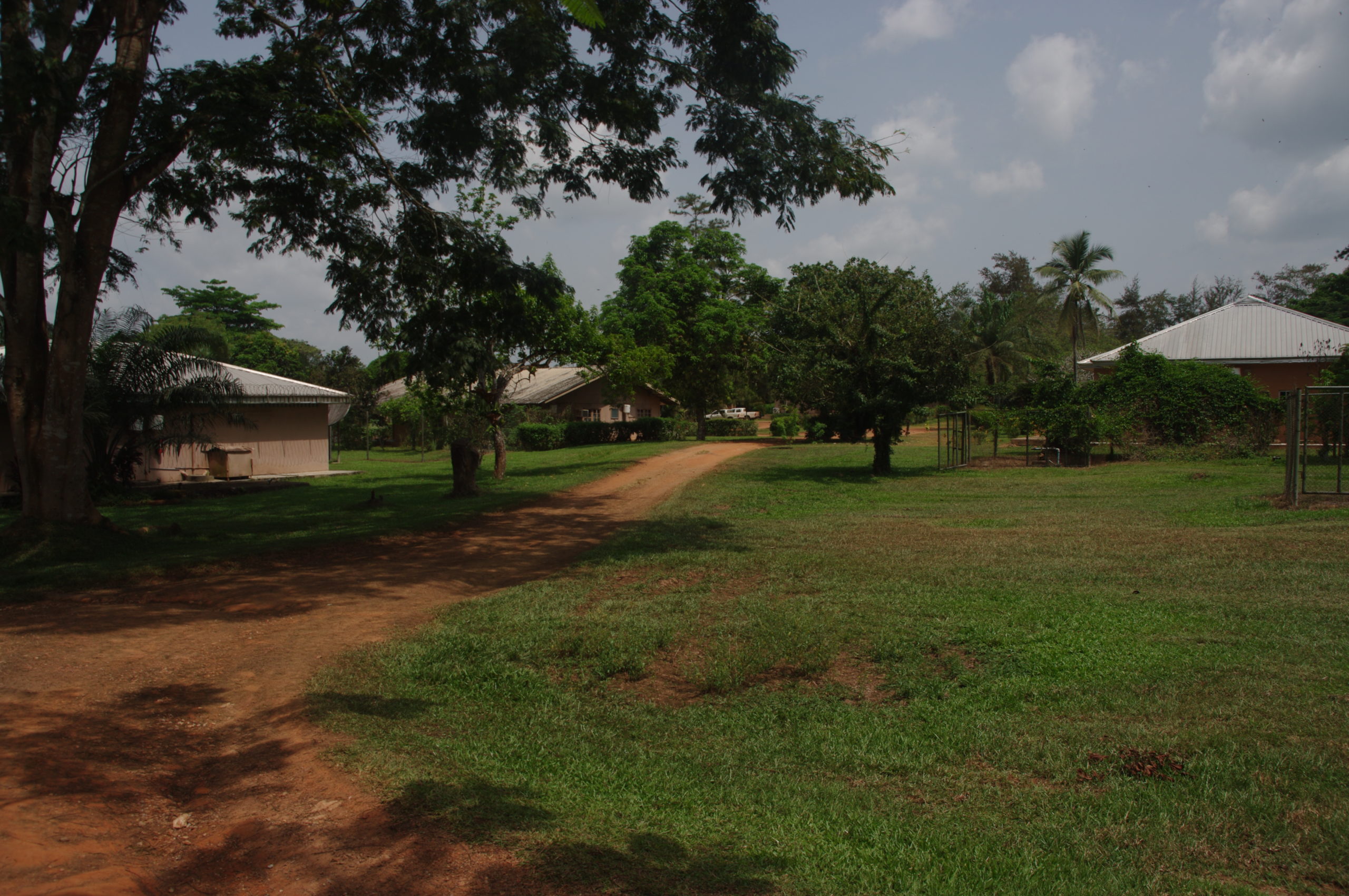 2016 Village, Okomu, Nigeria