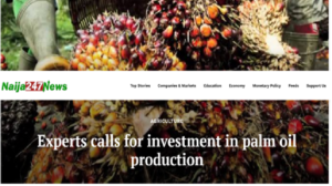 Experts calls for investment in palm oil production